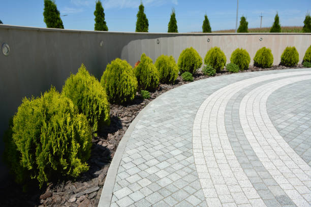 Best Residential Driveway Paver Services  in Renova, MS